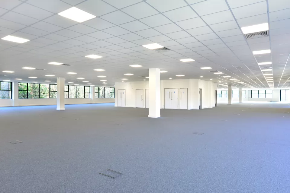 Empty open plan office with gray carpet and white walls